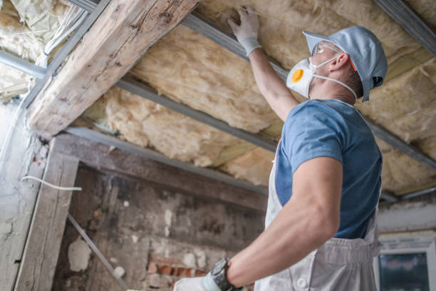 Best Crawl Space Insulation  in White Oak, PA