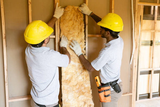 Best Insulation Replacement Services  in White Oak, PA